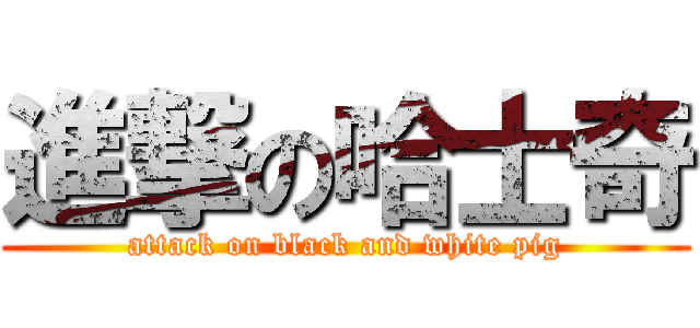 進撃の哈士奇 (attack on black and white pig)