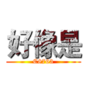 好像是 (C8763)