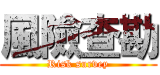 風險查勘 (Risk survey)
