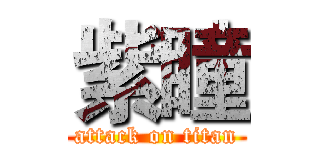 紫瞳 (attack on titan)