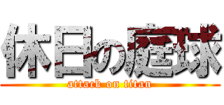 休日の庭球 (attack on titan)