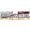 菌類の巨茸 (A big mushroom)