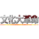 文化大革命 (cultural revolution)