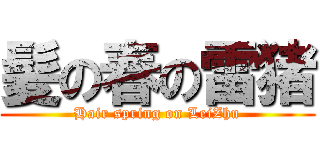 髪の春の雷猪 (Hair spring on LeiZhu)