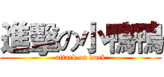 進擊の小鴨鴨 (attack on duck)