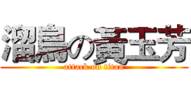 溜鳥の黃玉芳 (attack on titan)
