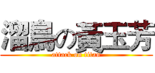 溜鳥の黃玉芳 (attack on titan)