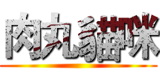 肉丸貓咪 ()