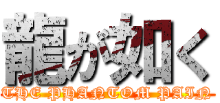 龍が如く (THE PHANTOM PAIN)