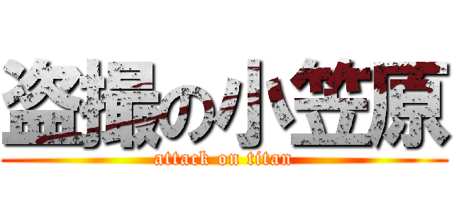 盗撮の小笠原 (attack on titan)