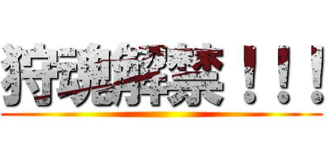 狩魂解禁！！！ ()