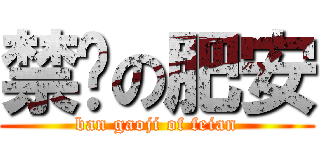 禁搞の肥安 (ban gaoji of feian)