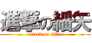 進撃の細矢 (attack on titan)