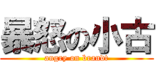 暴怒の小古 (angry on brandt)