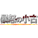 暴怒の小古 (angry on brandt)