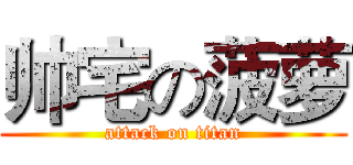 帅宅の菠萝 (attack on titan)