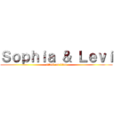 Ｓｏｐｈｉａ ＆ Ｌｅｖｉ (attack on titan)