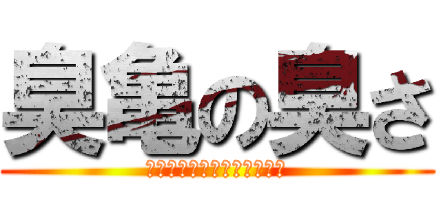 臭亀の臭さ (くさすぎる亀の口臭の原因は)