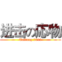 进击の応物 (Taitung 2015)