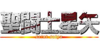 聖闘士星矢 (saint saiya)