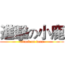 進擊の小鹿 (attack on deer)