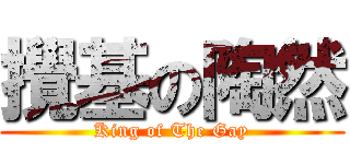 攪基の陶然 (King of The Gay)