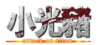 小光豬 (attack on titan)