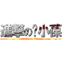 進撃の陈小葆 (attack on titan)