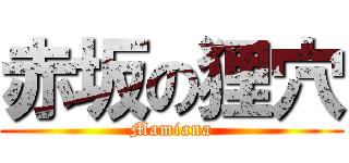 赤坂の狸穴 (Mamiana)