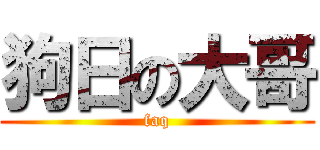 狗日の大哥 (faq)