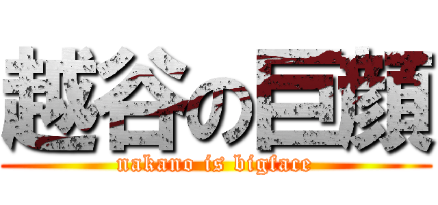 越谷の巨顔 (nakano is bigface)