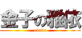 金子の雅依 (obaka)