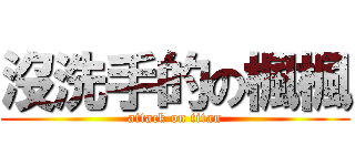 沒洗手的の楓楓 (attack on titan)