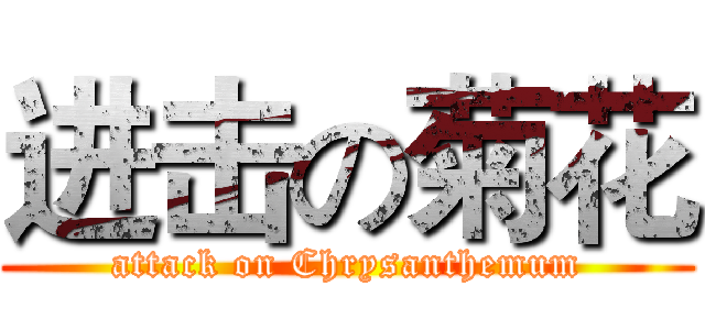 进击の菊花 (attack on Chrysanthemum)