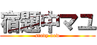 宿題中マユ (study now)
