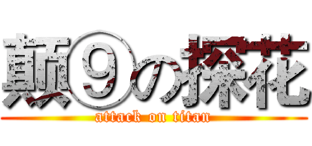 颠⑨の探花 (attack on titan)