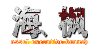 海、枫 (Cassel executive branch )