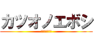 カツオノエボシ (カツオノエボシ)