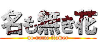 名も無き花 (no name flower)