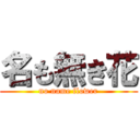 名も無き花 (no name flower)