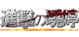 進擊の曉婷 (attack on titan)