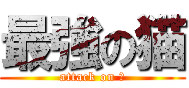 最強の猫 (attack on 猫)