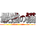 最強の猫 (attack on 猫)