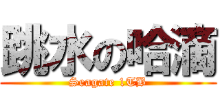 跳水の哈滴 (Seagate 1TB)