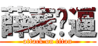 薛秦贱逼 (attack on titan)