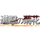 進擊の菊花 (attack on asshole)