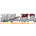 進撃の菜鸟 (attack on noob)