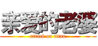 亲爱的老婆 (attack on titan)