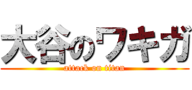 大谷のワキガ (attack on titan)