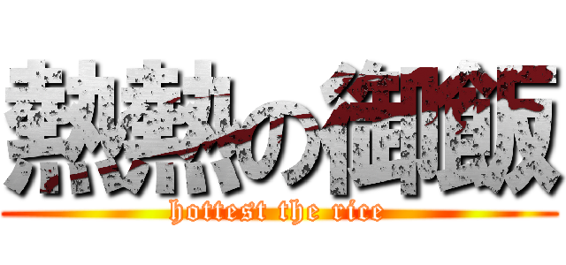熱熱の御飯 (hottest the rice)